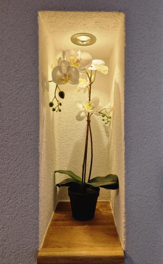 Fewo'S Und Apartment'S Schoeneck Давос Екстериор снимка